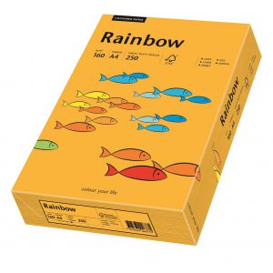 Papier ksero A4/250/160g Rainbow pomarańczowy jasny